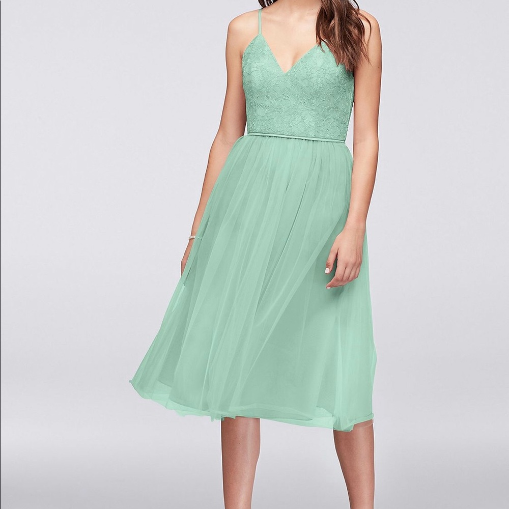 Beautiful lace and tulle dress. New with tags